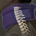 thumbnail image 3 of XINQIHANG CerviCorrect Neck Brace-Getting Rid of Snoring and Sleep Apnea Neck Brace Neck Pain and Support Cervicorrect Neck Brace Snoring Cervicorrect Neck Brace Supports The Chin and Neck (C), 3 of 7