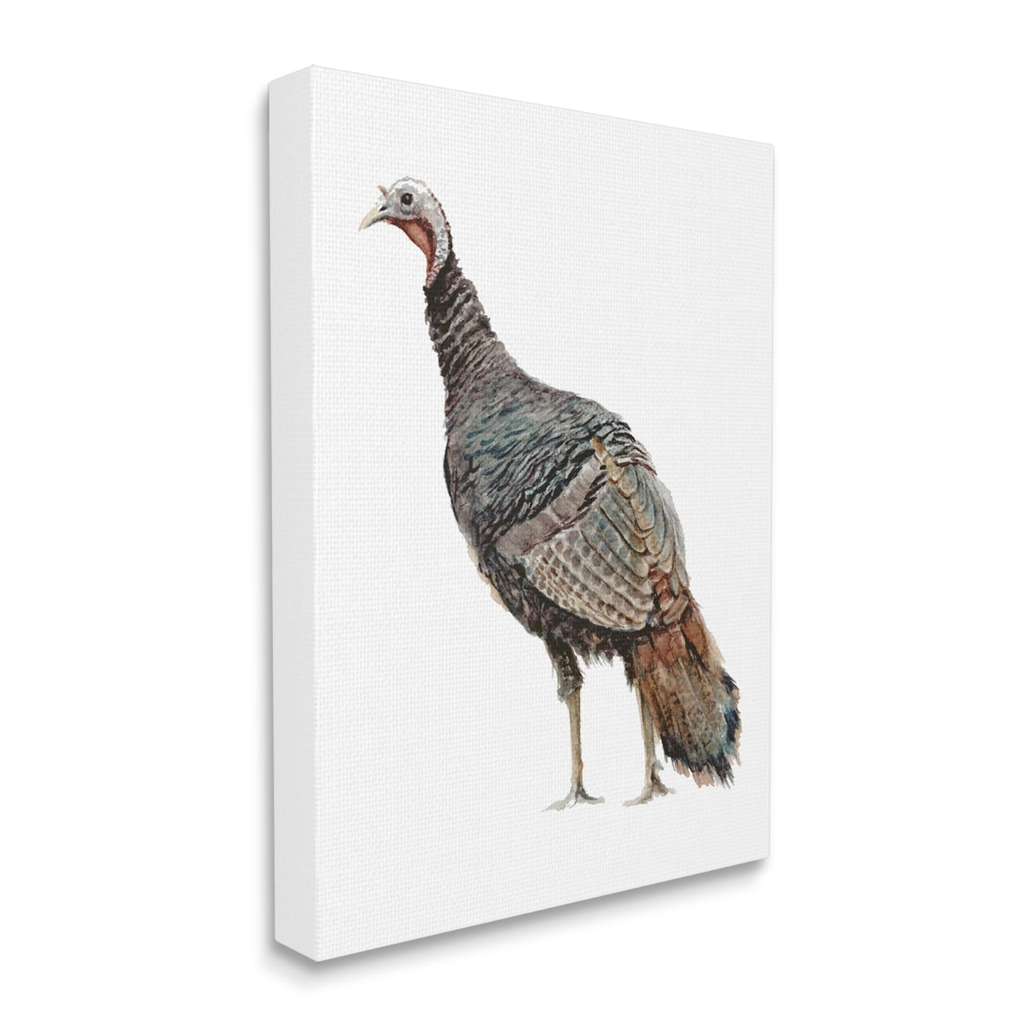 Stupell Industries Wild Turkey Bird Watercolor Painting Kids' Nursery Animal, 30 x 40,Design by Fox Hollow Studios