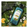 thumbnail image 3 of Shampoo Herbal Essences Bio:renew argan oil of morocco 245 ml, 3 of 4