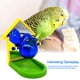 thumbnail image 4 of Wdftyju Periquito pájaro forraje espejo fuga comida entrenamiento loro accesorios Color aleatorio Wdftyju 5fv4pr3qe3tu0wn6D02, 4 of 8