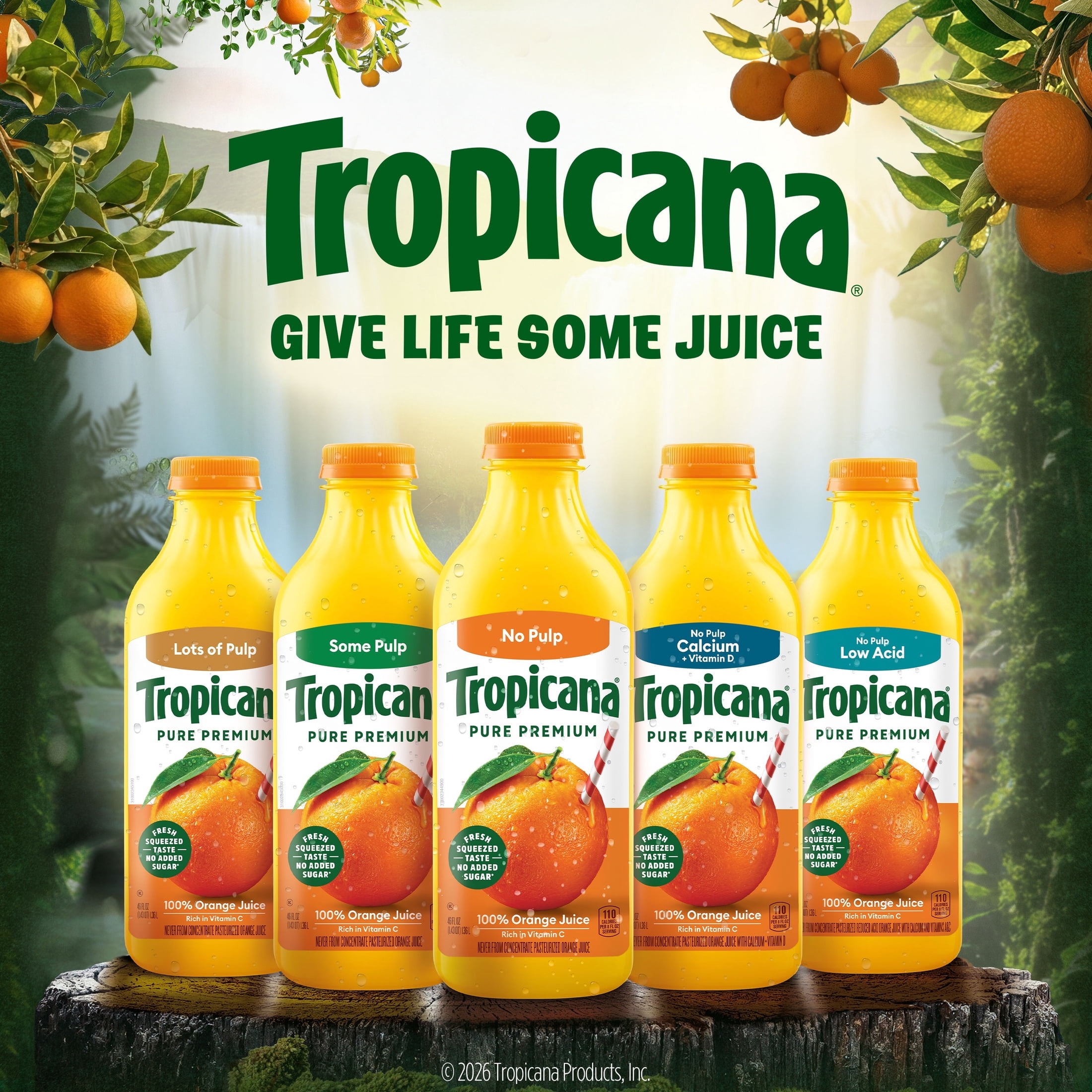 Tropicana Pure Premium 100% Orange Juice Original, Some Pulp, No Sugar Added, 46 fl oz