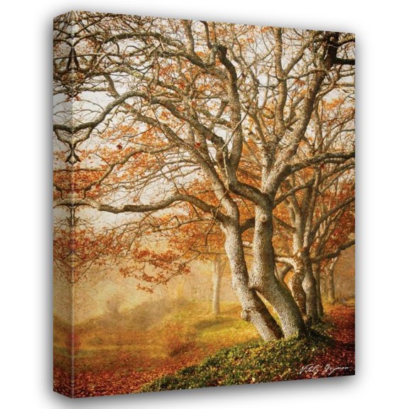 Vitaly Geyman 33x44 Gallery Wrapped Canvas Wall Art Titled - In the Mist II