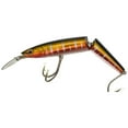 thumbnail image 6 of Braid Tantrum Magnum Jointed, 6 of 9