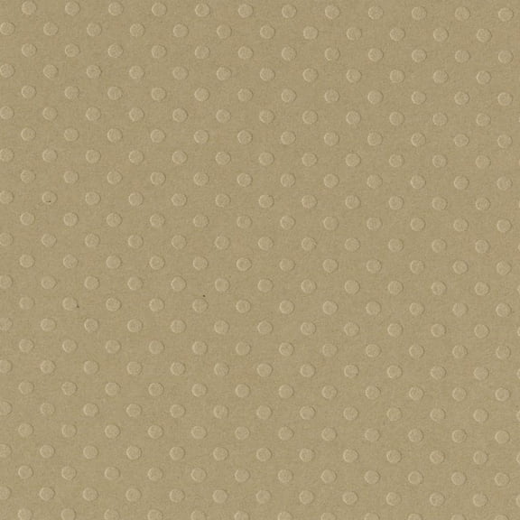 Bazzill Dotted Swiss Cardstock 12"X12"-Rope Swing/Dotted Swiss