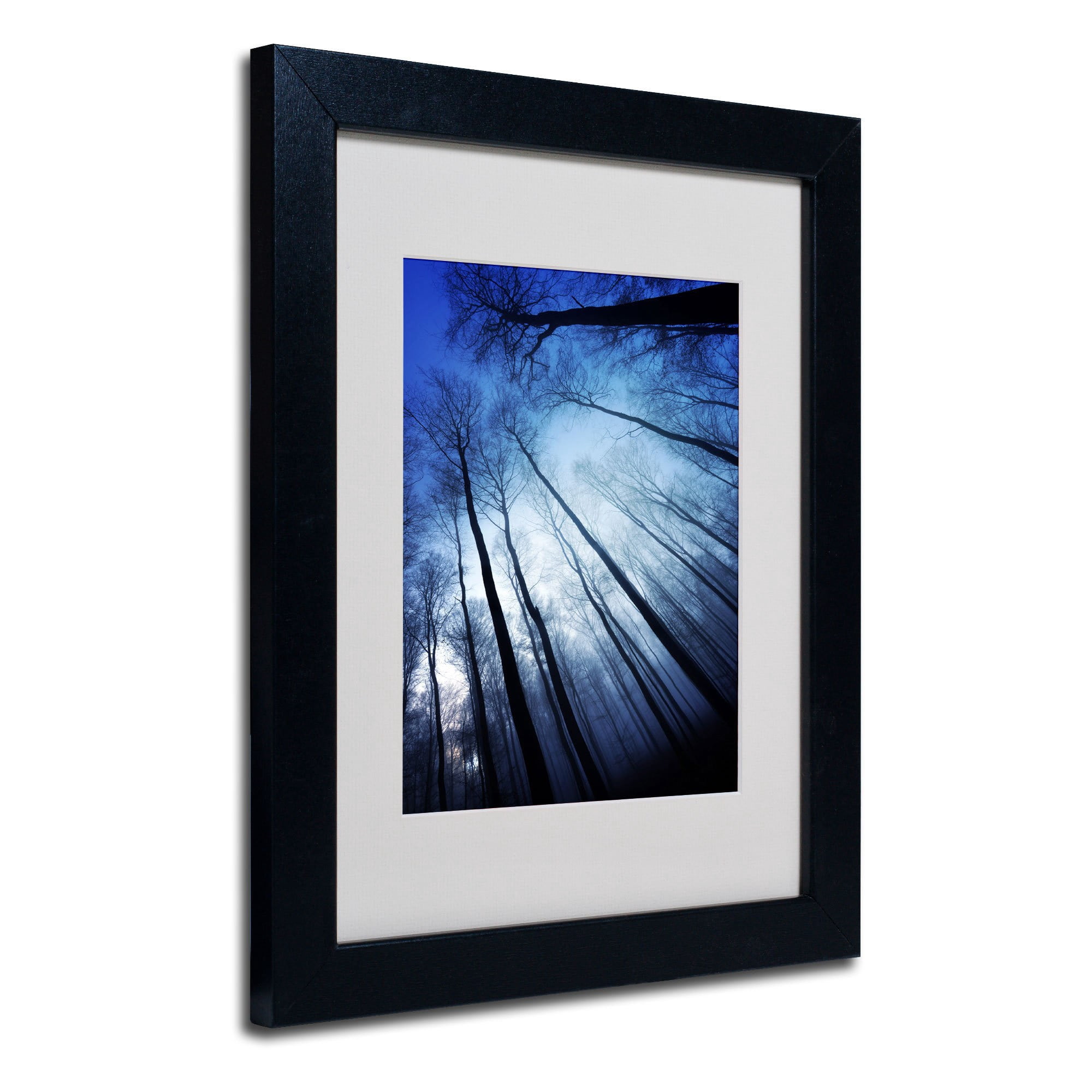 Trademark Fine Art "Blue Forest" Canvas Art by Philippe Sainte-Laudy, Black Frame