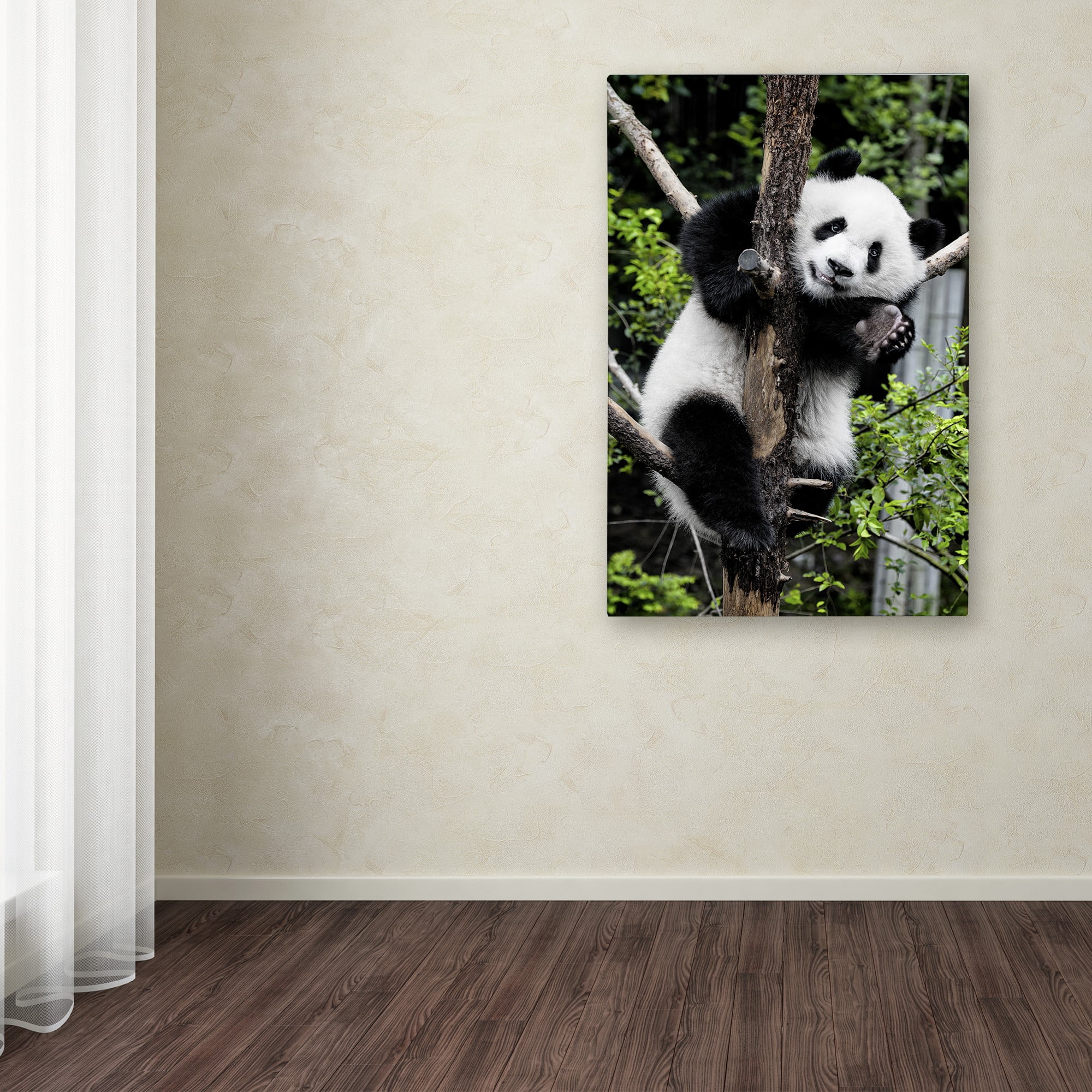 Trademark Fine Art "Giant Panda II" Canvas Art by Philippe Hugonnard