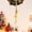 A,A, variant on Rustic Cowbell Wind Chime - Farmhouse Christmas Decor with Hemp Rope, Vintage Metal Bells for Porch Wall Holiday Decorating (Shabby Chic Style)