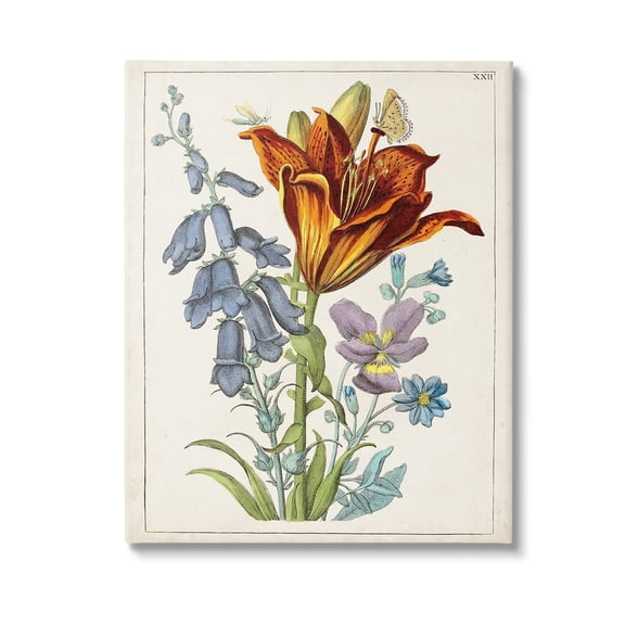 Stupell Industries Bugs & Vintage Flowers Botanical & Floral Painting Gallery Wrapped Canvas Art Print Wall Art, 16 x 20
