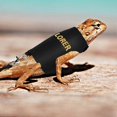 thumbnail image 3 of Bearded Dragon Leash and Harness Set, Escape Prevention Bearded Dragon, 3 of 5