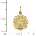 thumbnail image 4 of 14k Yellow Gold RN Registered Nurse Disc Charm - 20mm, 4 of 6