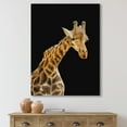 thumbnail image 2 of Designart ' Portrait of A Giraffe On Black Background II ' Farmhouse Canvas Wall Art Print, 2 of 4