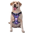 thumbnail image 1 of Fotbe colorful Skull mushroom rainbow Arnés para Perro con Estampado –Chaleco Ajustable Acolchado con Asa de Control para Perros Grandes-Large, 1 of 6