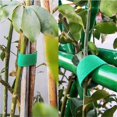 thumbnail image 3 of 3-Rolls 19.6 ft Plant Tape Ties for Climbing Plants Supports, Reusable Green Garden Planting Velcro Hook and Loop Soft Plastic Twist Ties Outdoor, 3 of 7