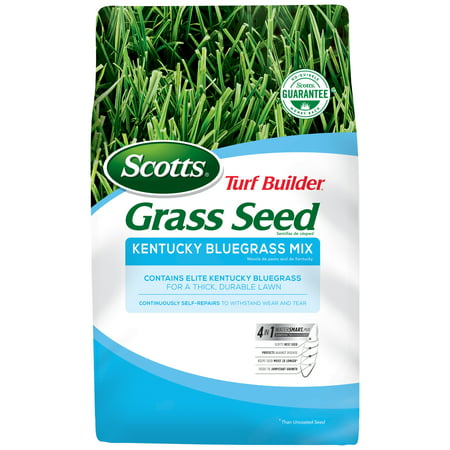 Scotts 18169 Kentucky Bluegrass Seed - 7 lb. (Best Way To Germinate Seeds)