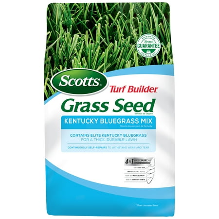 Scotts 18169 Kentucky Bluegrass Seed - 7 lb. (Best Time To Seed Kentucky Bluegrass)