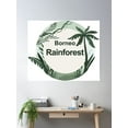 thumbnail image 2 of Borneo Rainforest Poster Wall Art, Modern Wall Decor, 24x36 UNFRAMED, 2 of 3