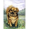 thumbnail image 1 of Carolines Treasures 7075GF Tibetan Spaniel Flag - Garden Size, 1 of 3