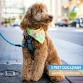 thumbnail image 7 of 5 ft Dog leash with comfortable padded handle and highly reflective wires Dog leashes-Blue, 7 of 7