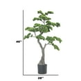 thumbnail image 2 of 46" Artificial Faux Bonsai Tree | Real Touch Artificial Faux Bonsai Tree, 2 of 6