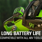 Greenworks 40V 2.0Ah Battery 29462