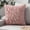 Watermelon Red, variant on Christmas Throw Pillow Covers 18x18 Inch, Soft Plush Decorative Square Pillowcases, Farmhouse Holiday Cushion Covers for Couch Sofa Living Room Bedroom Outdoor Home Decor