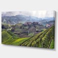 thumbnail image 2 of Vineyards in Italy Panoramic - Photography Canvas Art Print, 2 of 3