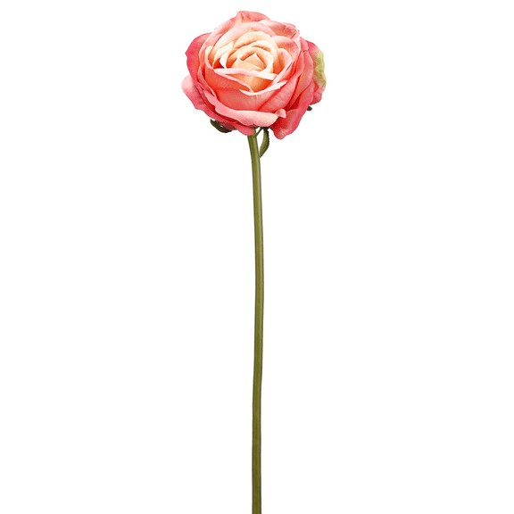 Park Place - 12 Piece Rose Stem 19" Rose