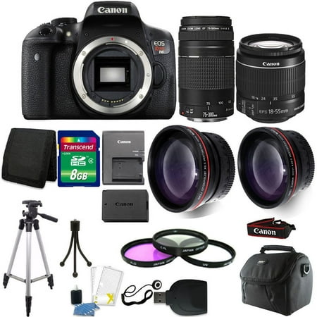 Canon EOS Rebel T6 DSLR Camera + 18-55mm IS II + 75-300mm 4 Lens Best Value (Best Dslr For Indie Filmmaking)