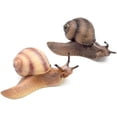 thumbnail image 1 of Figuras de caracol en miniatura, modelo de caracol para decoración de micropaisaje de jardín de hadas, 2 uds., 1 of 5