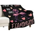 thumbnail image 2 of Flamingo Blanket Gifts - 40 x 50 Inches Cute Throw Blanket for Kids - Light Pink Cozy Fuzzy Plush Blankets for Sofa, 2 of 5