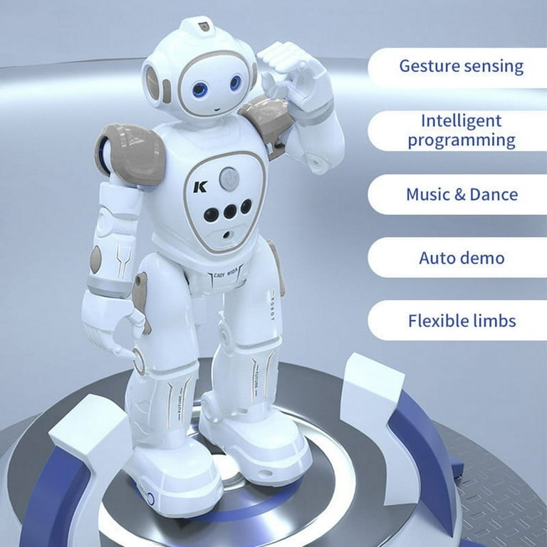 Rc robot price sales