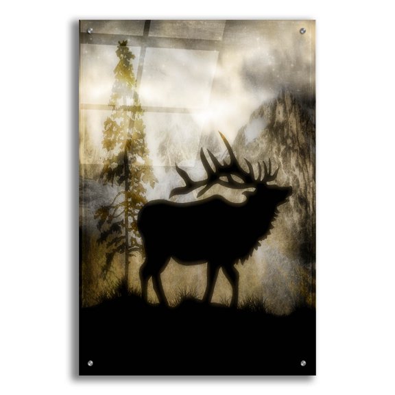 Epic Art 'Mystic Elk' by Lightbox Journal, Acrylic Glass Wall Art, 24"x36"