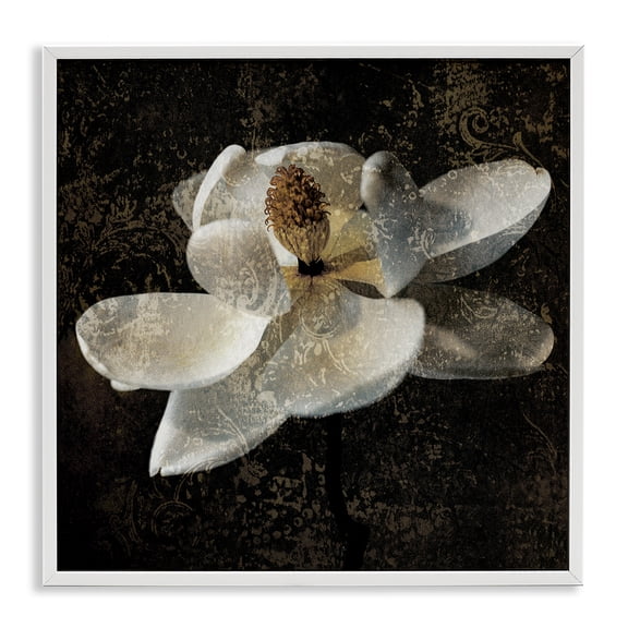 Stupell Industries Glam Rustic Magnolia Flower White Framed Giclee Art, 17 x 17, by John Seba