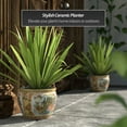 thumbnail image 2 of Red Lantern 10" Satsuma Peacock Fishbowl Planter, 2 of 6
