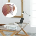thumbnail image 3 of MasteelfCA 200 Pcs Entretoises de Pare-Chocs en Verre pour Table en Verre, 3 of 7