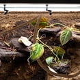 thumbnail image 4 of IDEANATEGRATE Vid Falsa Marrón Para Terrario Con Material Duradero Para De Reptiles, 4 of 6