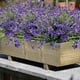 thumbnail image 3 of 2026 10 Bundles Artificial Flowers Fake Outdoor Plants Faux UV Resistant Flower Indoor Outside Hanging Decorations (10, Red), 3 of 5