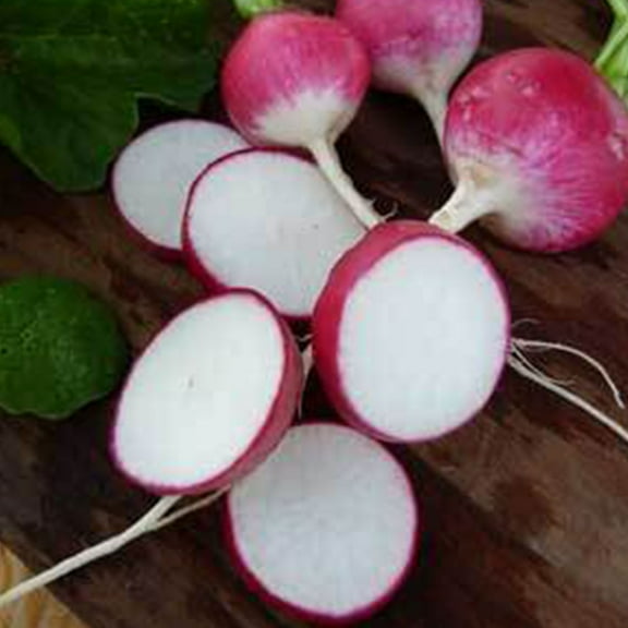 Organic Sparkler White Top Radish Seed - 5 g ~470 Seeds - Organic, Heirloom, Open Pollinated, Non-GMO, Farm & Vegetable Gardening & Micro Greens Seeds