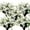 White-daffodil, variant on GRNSHTS 20 Bundles Artificial Daffodil Outdoors Flowers (Light Yellow-Daffodil)