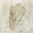 thumbnail image 2 of Robinson, Carol 20x20 White Modern Wood Framed Museum Art Print Titled - Seashell Illusion II, 2 of 4