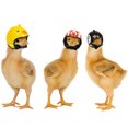 thumbnail image 3 of Casco de pollo, casco de seguridad para pájaros, sombrero de casco de pollo, protección de cabeza de pollo ajustable para mascotas para pollo, para protector de cabeza de aves de corral, 3 of 5