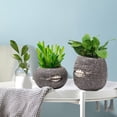 thumbnail image 1 of YAOMOBB Pot de Plante de Bureau Rond en Résine avec Fermeture Éclair à l'Empeigne, Pot de Fleurs 2 Pcs avec Trou de Drainage, Résistant aux Intempéries, Amusant, pour Intérieur et Extérieur, Jardinière pour Herbes, Pot de Légumes de Bureau, 1 of 5