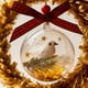 thumbnail image 3 of 3D Optical Illusion Dome Christmas Ornament with Music Box, Glitter Snowfall and Floating Bird Decor for Holiday Tree, Home, Office, Gift, 3 of 5