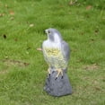 thumbnail image 3 of Fortune Simulation Eagle Hunting Bait Repellent Pest Imitation Owl Decoy Statue, 3 of 9