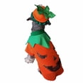 thumbnail image 2 of Disfraz Calabaza Perro Halloween Talla 3 Mascota Pet Pals, 2 of 4