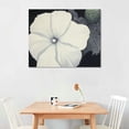 thumbnail image 2 of ARISTURING Black Petunia And White Morning Glory Canvas Poster Wall Art Decor Print Picture Paintings for Living Room Bedroom Decoration Black, 2 of 5