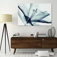 thumbnail image 4 of Empire Art Direct Amaryllis Frameless Free Floating Tempered Glass Panel Graphic Wall Art, 32" x 48" x 0.2", Ready to Hang, 4 of 12