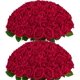 thumbnail image 1 of Flores artificiales BLEUM CADE de rosas rojas, 50 unidades, Real Touch, 1 of 9