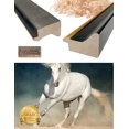 thumbnail image 5 of DECORARTS - Prancer in the Sand Wild Animal Wall Art. Giclee Prints on Acid Free Cotton Canvas Matching with Solid Wood Frames. Total Size w/Frame: 38.6x26.6", Ready to Hang., 5 of 6