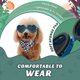 thumbnail image 4 of Gafas para perros con forma de corazón, gafas de sol ajustables para mascotas, resistentes al polvo, a los rayos UV y al viento, color azul., 4 of 5
